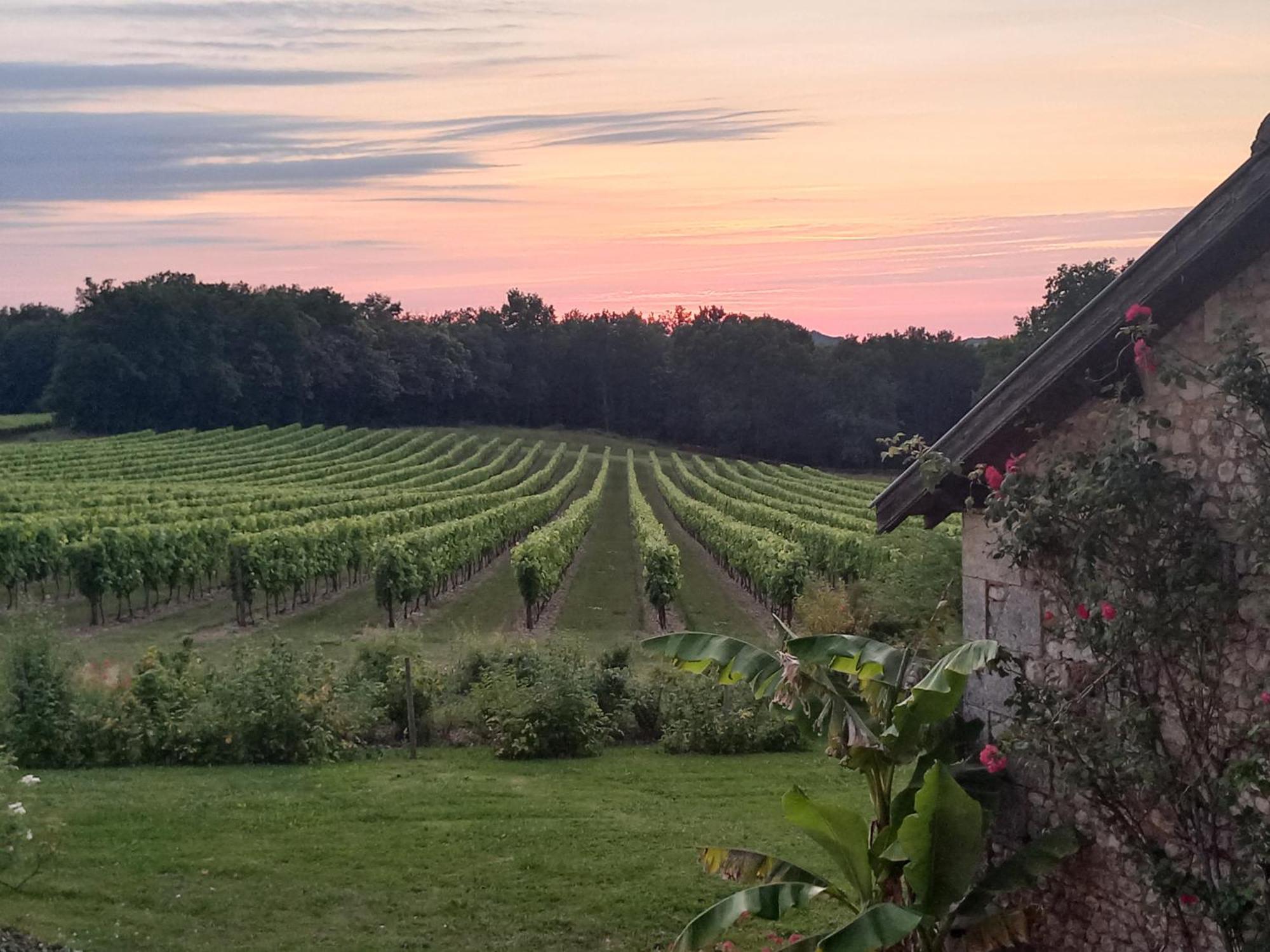 Bed and Breakfast Domaine Chez Maurice Becheresse Esterno foto