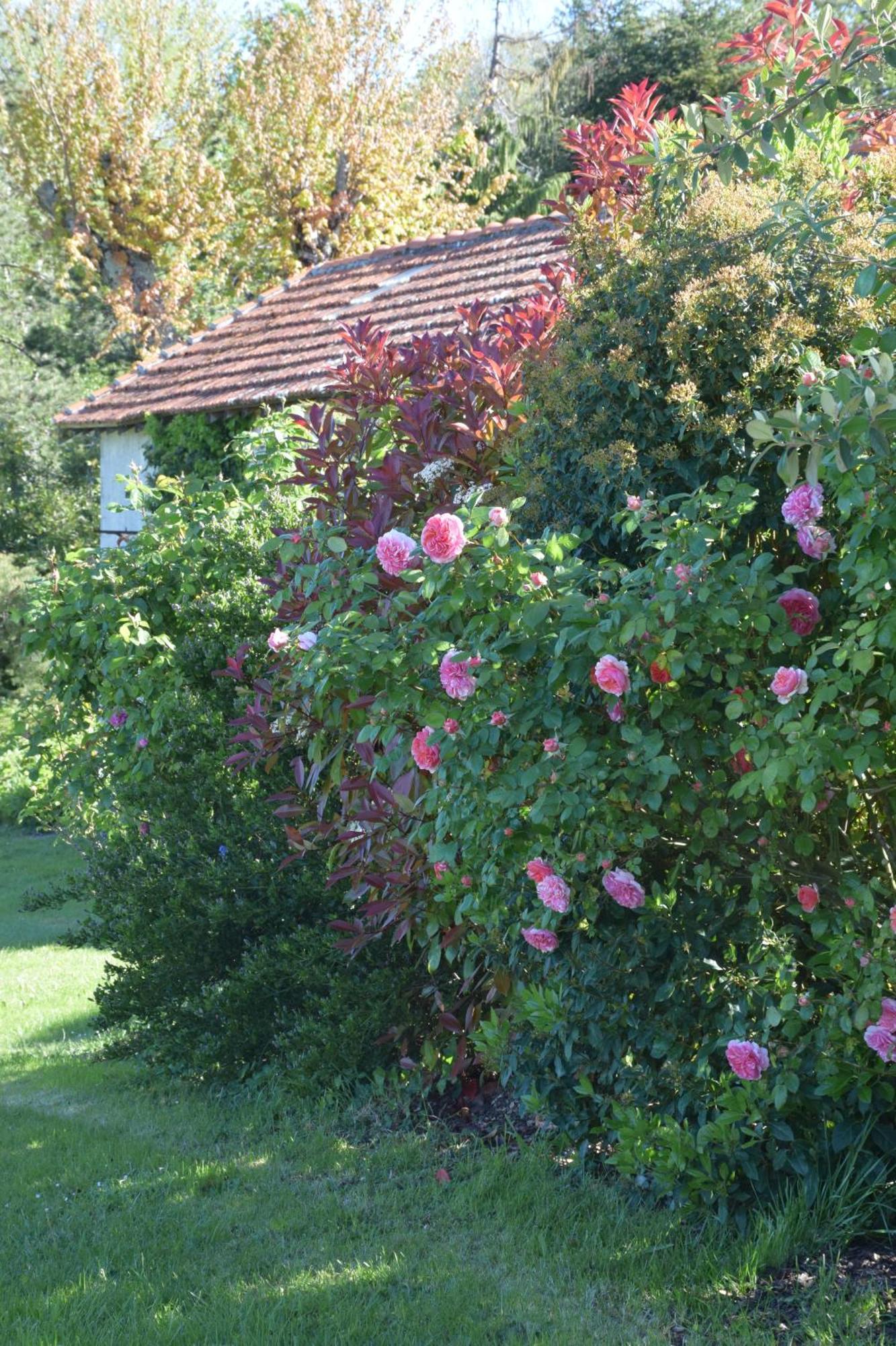 Bed and Breakfast Domaine Chez Maurice Becheresse Esterno foto