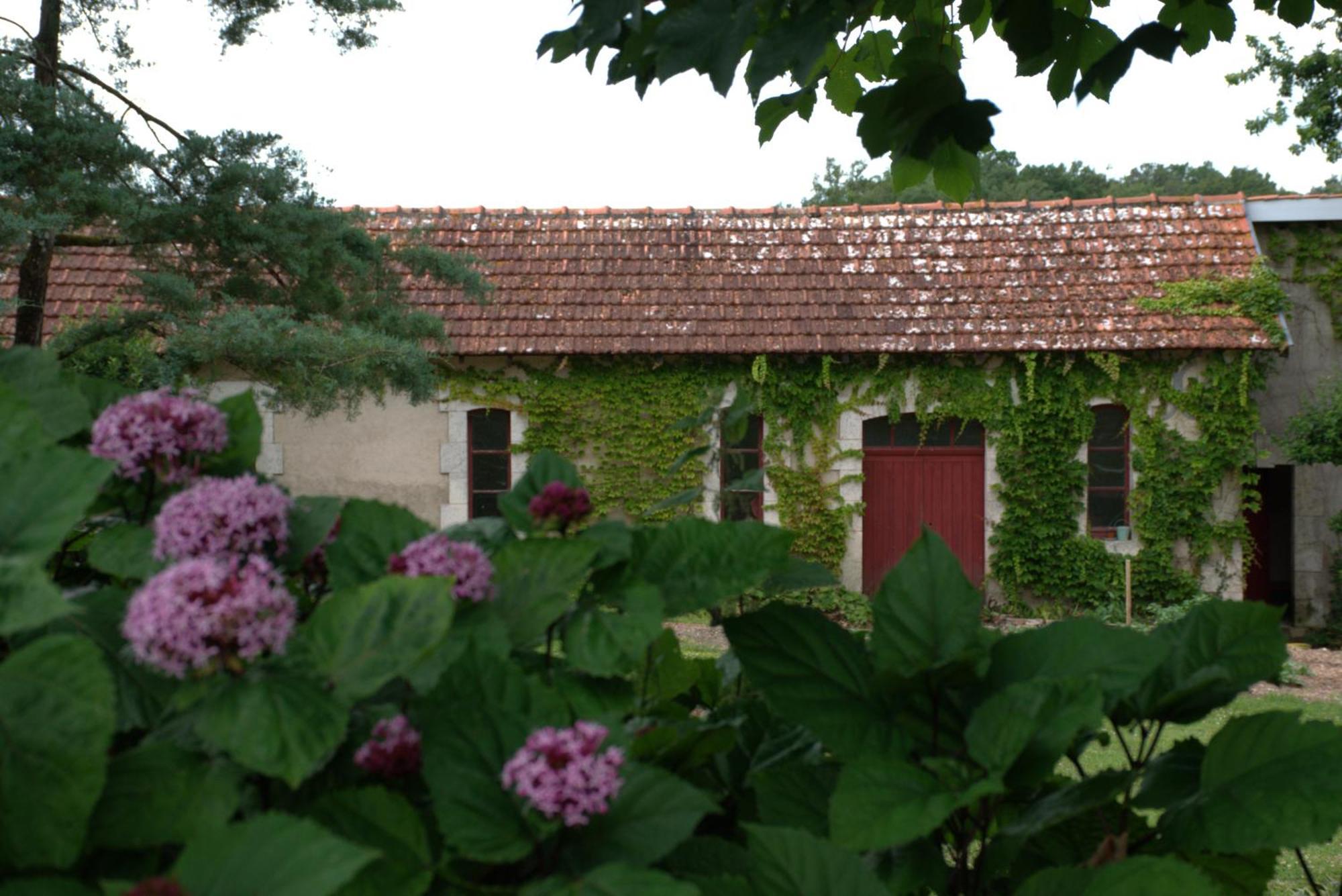 Bed and Breakfast Domaine Chez Maurice Becheresse Esterno foto