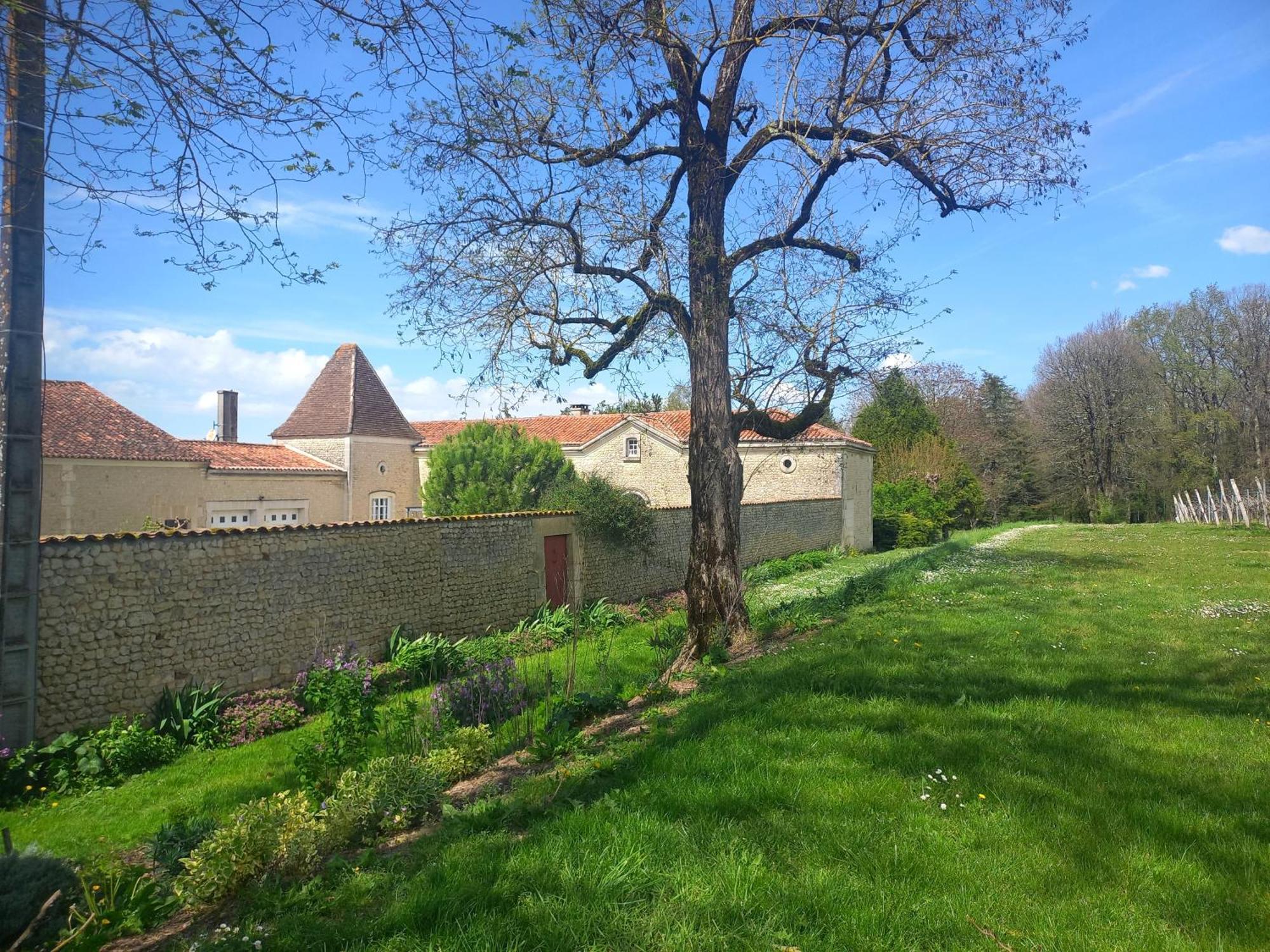 Bed and Breakfast Domaine Chez Maurice Becheresse Esterno foto