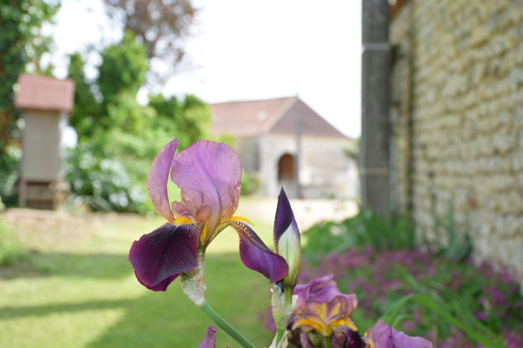 Bed and Breakfast Domaine Chez Maurice Becheresse Esterno foto