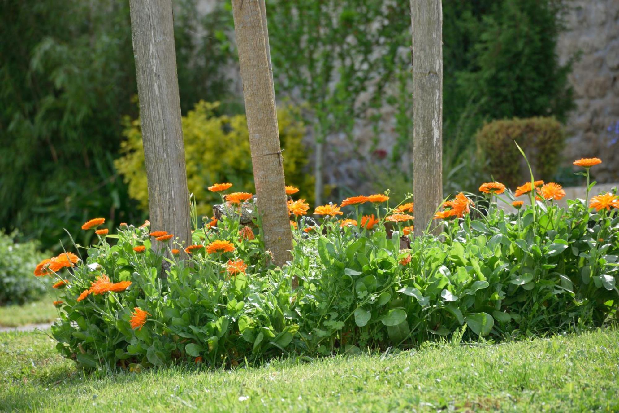 Bed and Breakfast Domaine Chez Maurice Becheresse Esterno foto