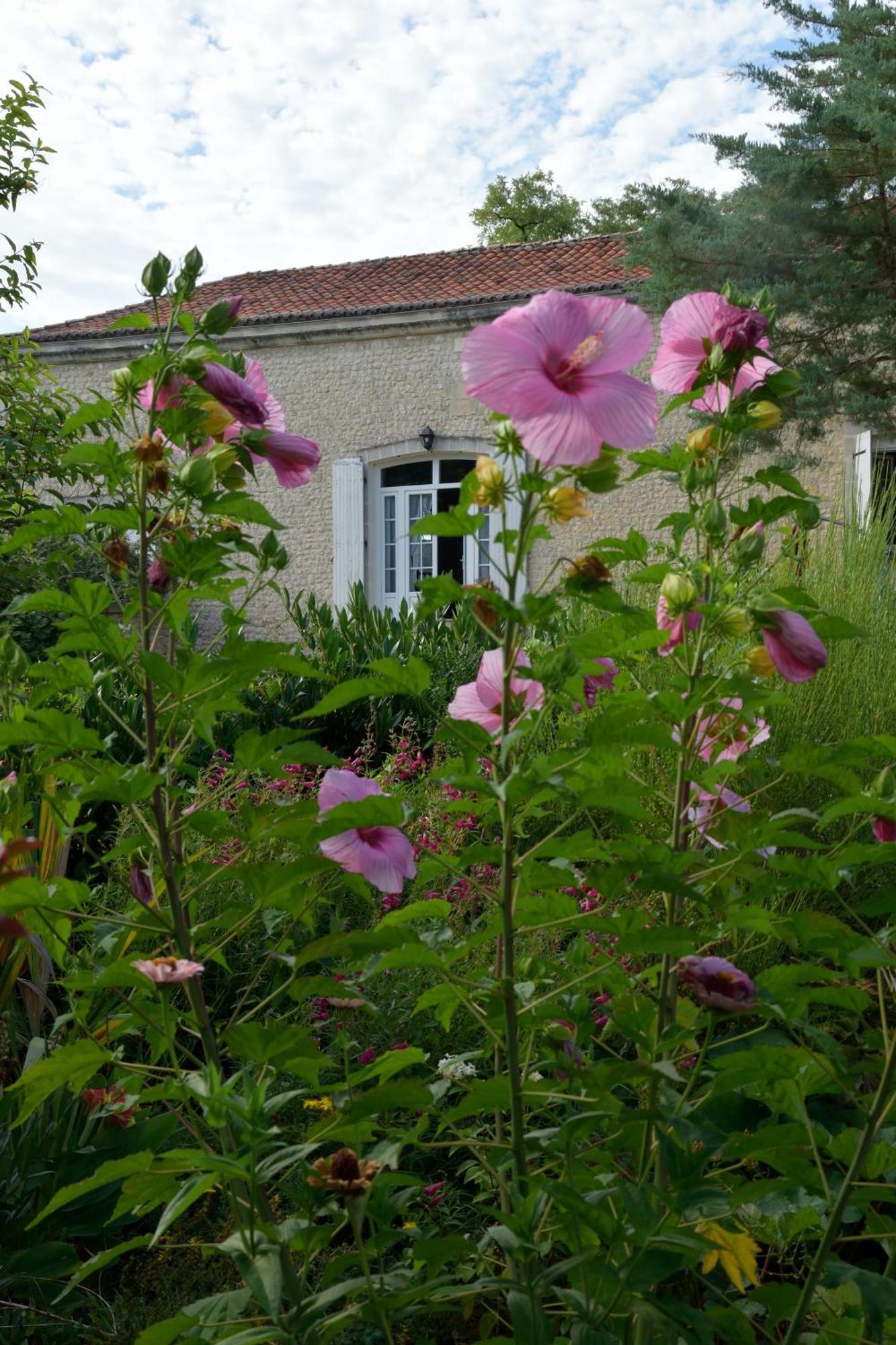 Bed and Breakfast Domaine Chez Maurice Becheresse Esterno foto