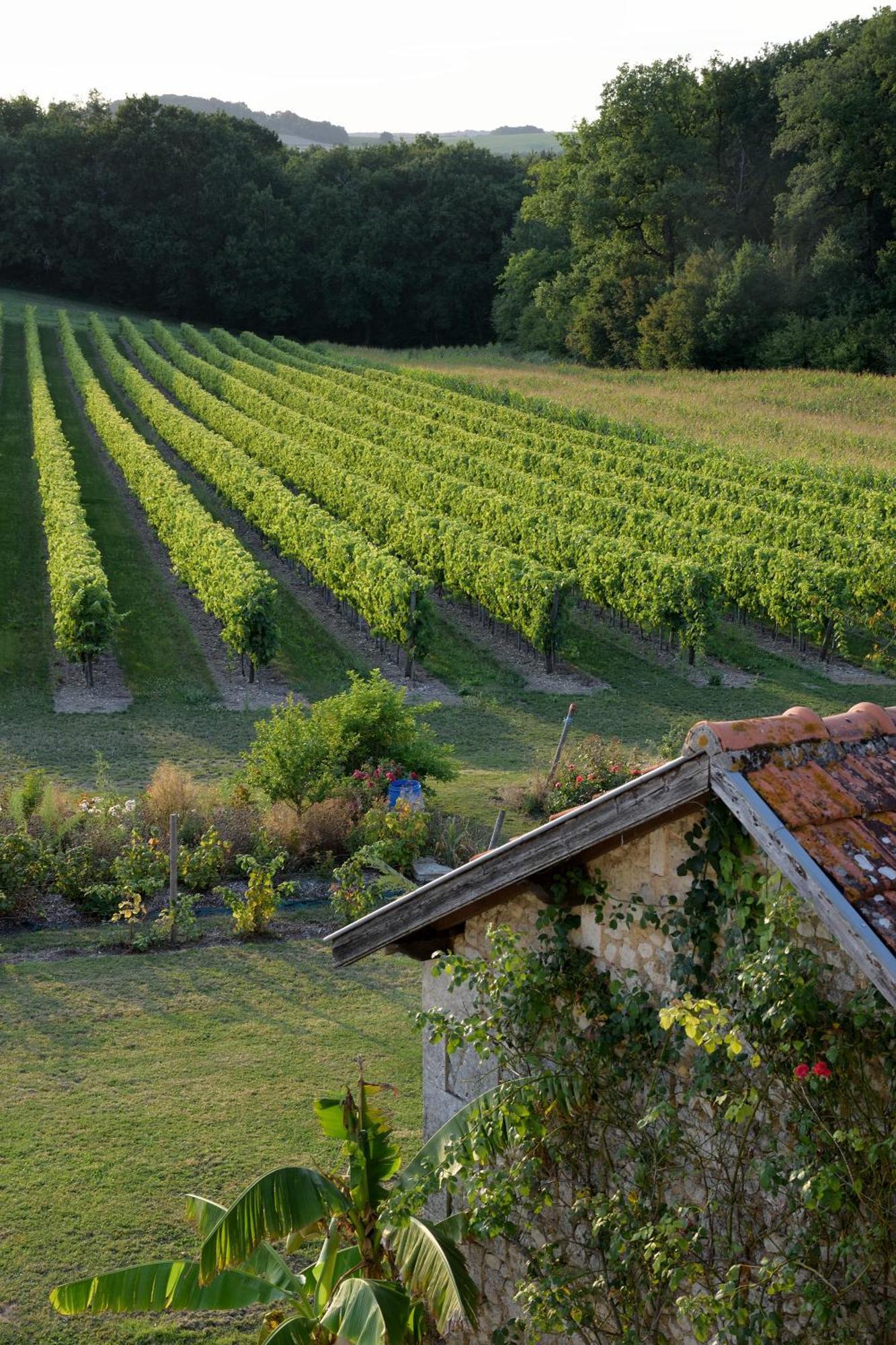 Bed and Breakfast Domaine Chez Maurice Becheresse Esterno foto